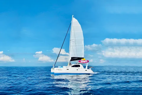 Катамаран HENNESSY 40FT