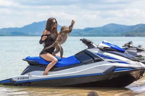 Гидроцикл YAMAHA VX-C TR-1